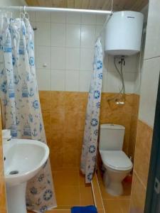 Агава - 63