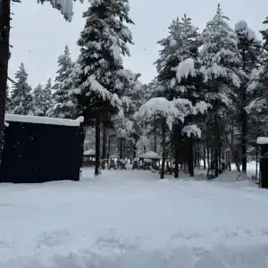 Махар - 139