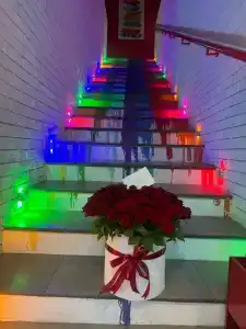Краски - 23