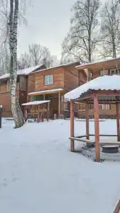 Усадьба Цвет папоротника - 137