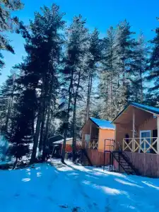 Перезагрузка - 13