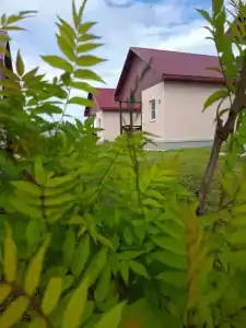 Семейный - 23