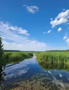 Семейный - 17