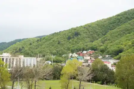 Аква-Вита - 17