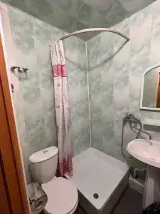 Колос - 109