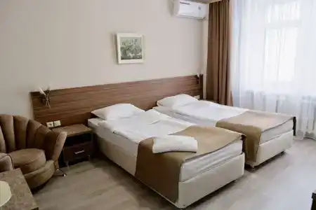 Платан - 10