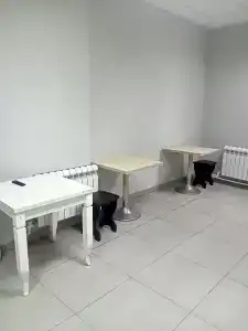 Чисто - 13