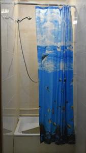 Горизонт - 81