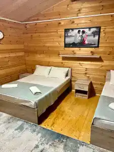 Viktoriya TWO - 65