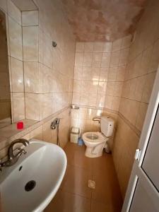 Изабелла - 69