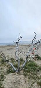 Green Island - 131