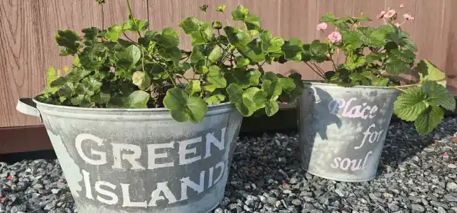 Green Island - 154