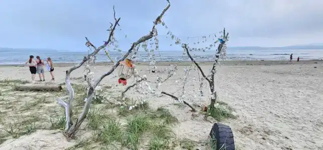 Green Island - 203