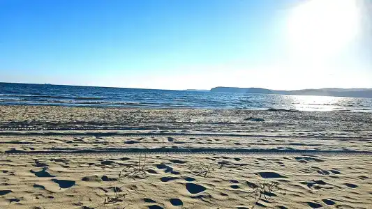 Green Island - 209