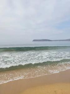 Green Island - 216