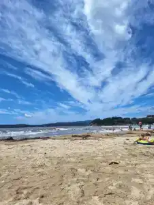 Green Island - 219