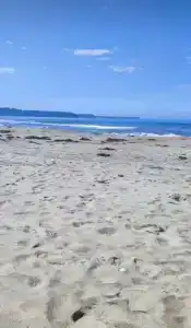 Green Island - 230