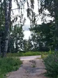 Вегвизир - 38