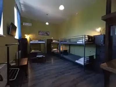 Койот - 24