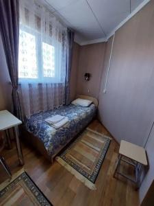 Медведь - 6