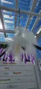 Green Island - 280