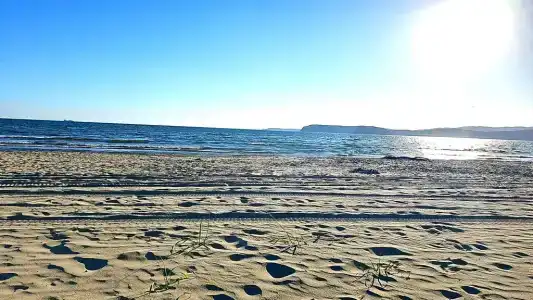Green Island - 297