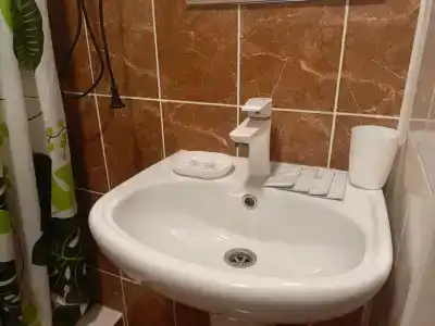 Агава - 107