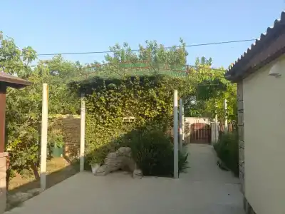 Агава - 114