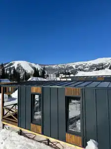 Manul - 30