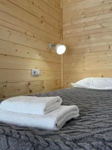 Snow Peaks - 99