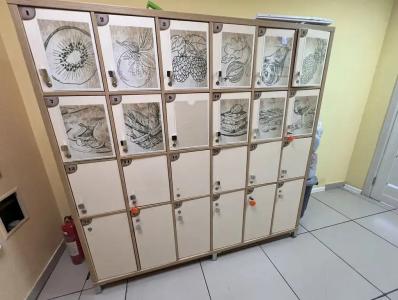 Сити-В - 30