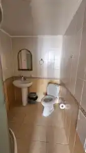 Слон отель - 11