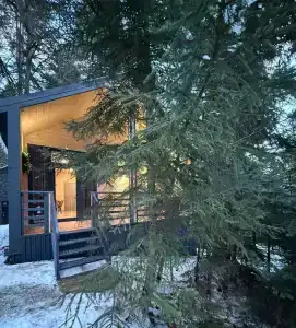 Витаура - 156