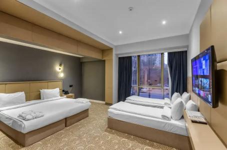 Congress - 104