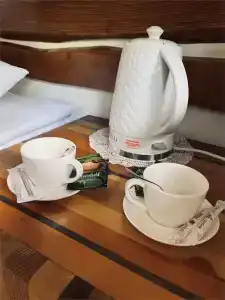 Гуси-Лебеди - 102