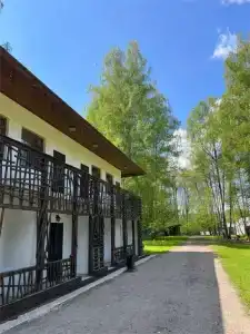 Гуси-Лебеди - 108