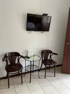 Гуси-Лебеди - 112