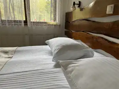 Гуси-Лебеди - 113