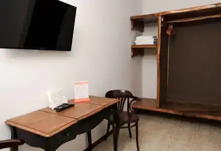 Гуси-Лебеди - 115