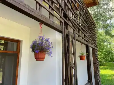 Гуси-Лебеди - 116