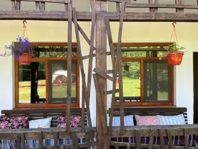 Гуси-Лебеди - 117