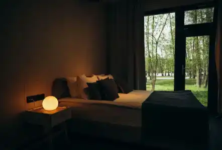 Гуси-Лебеди - 154