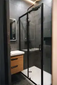 Гуси-Лебеди - 163