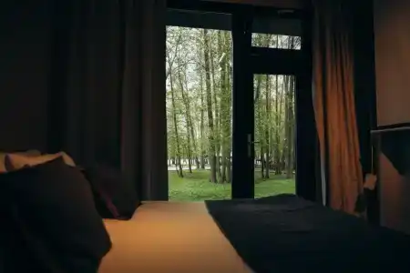 Гуси-Лебеди - 166