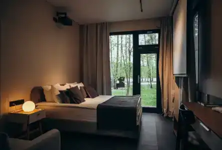 Гуси-Лебеди - 167