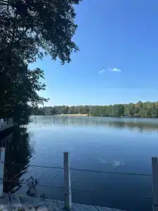 Гуси-Лебеди - 164