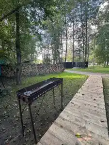 Гуси-Лебеди - 161