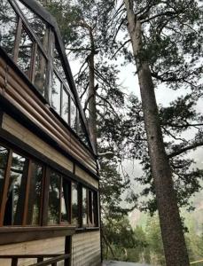 Alphouse - 4