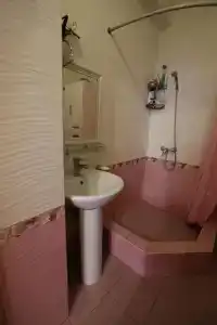 Мечта - 301