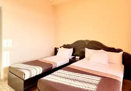 Маракеш Голд - 222